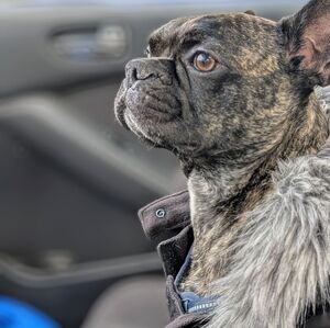 Meet your Posher, Mike